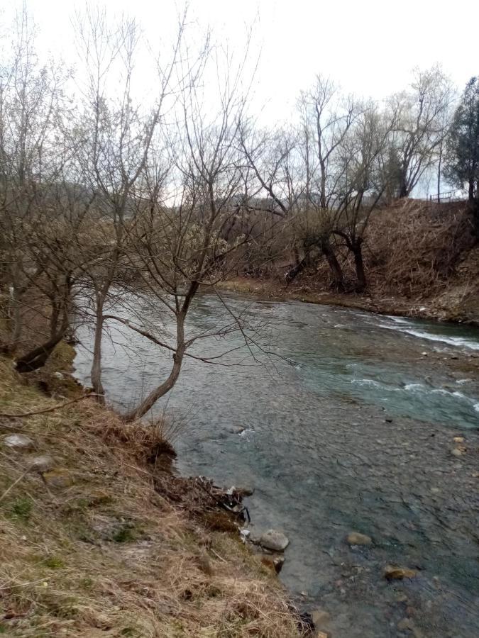 Садиба Федорчуків За Рікою1 Sheshory Εξωτερικό φωτογραφία