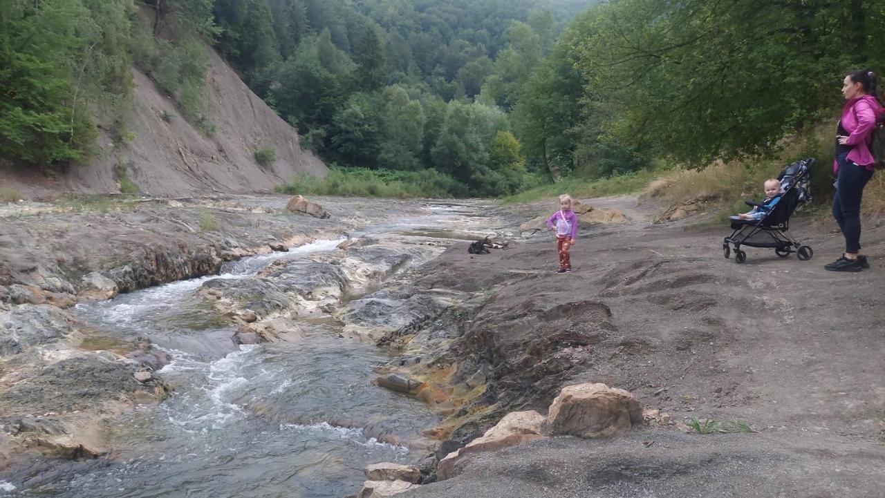 Садиба Федорчуків За Рікою1 Sheshory Εξωτερικό φωτογραφία